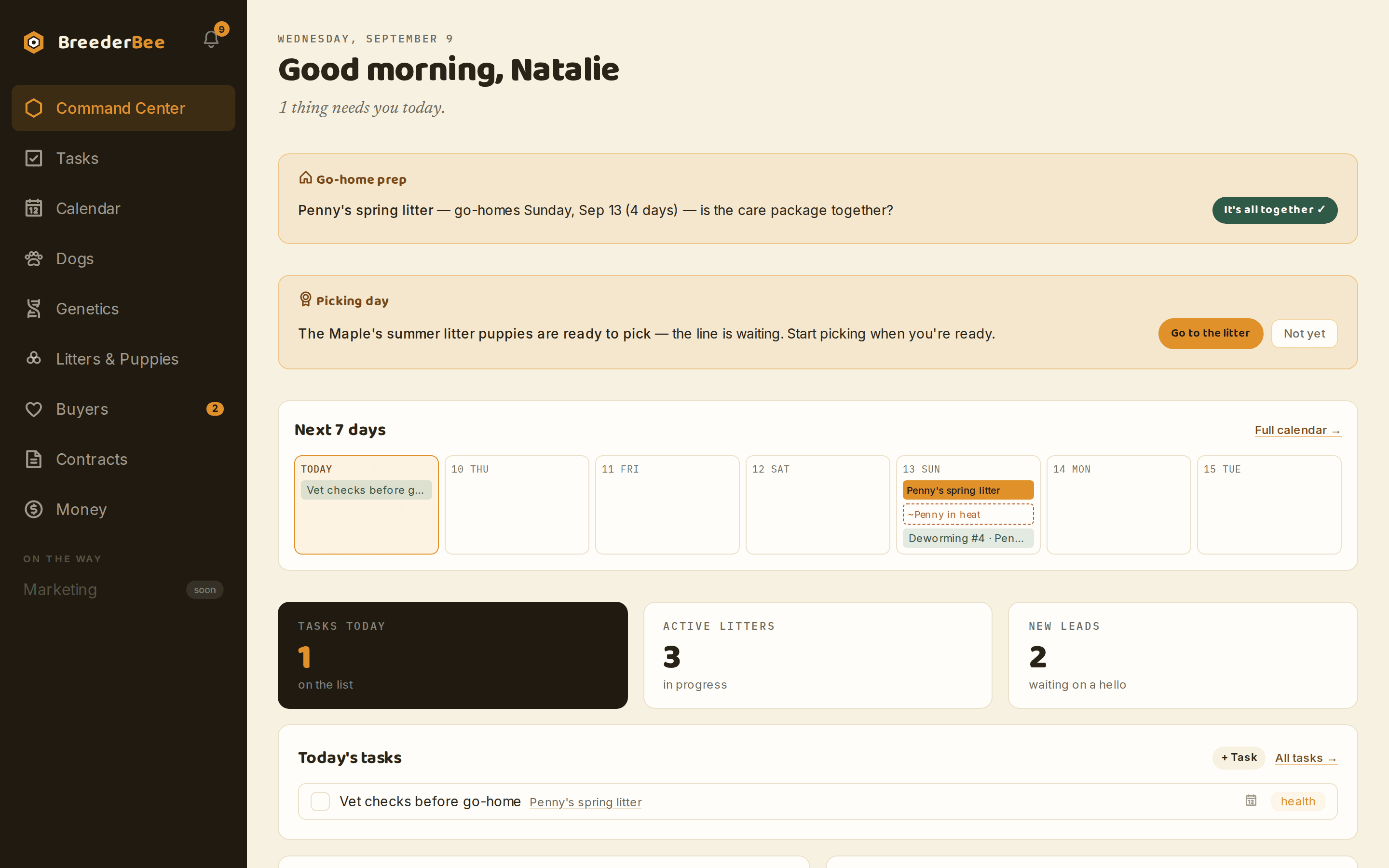 The BreederBee Command Center: today's tasks, litters in progress, and a note that nothing is overdue